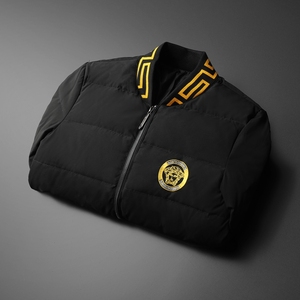 白鸭绒2024新款男士立领羽绒服钱塘6016-18116P280,男装羽绒服,钱塘6016