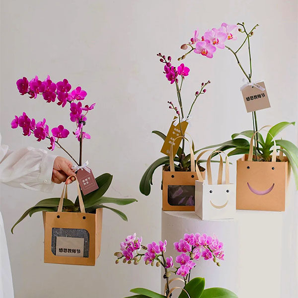 母亲节小礼品袋迷你牛皮纸袋开窗手提鲜花袋笑脸白卡包装创意透明