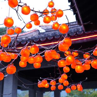 2026新款太阳能大柿子灯串小灯笼户外庭院商场挂树氛围装饰灯彩灯