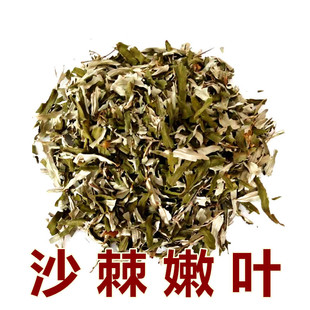 冲茶100g 免邮 沙棘嫩叶 东北沙棘叶 费