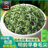 绿茶2025年新茶贵州高山明前毛尖茶叶早春嫩芽浓香耐泡型散装 250g