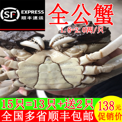 全公二两小螃蟹现货鲜活顺丰包邮