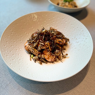 酒店中厨餐具白瓷点纹盘子高级感冷菜盘特色菜盘子会所创意菜盘子