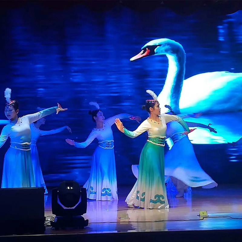 定制《天鹅》舞蹈演出服 春之韵 现代舞蹈长裙大摆裙伴舞表演