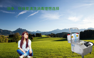 意大利乐华乐捷LAVOR清洗机