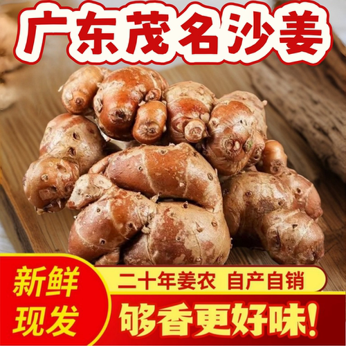 正宗沙姜新鲜山奈种子广东茂名生砂姜白切鸡椰子鸡蘸料调配料当季