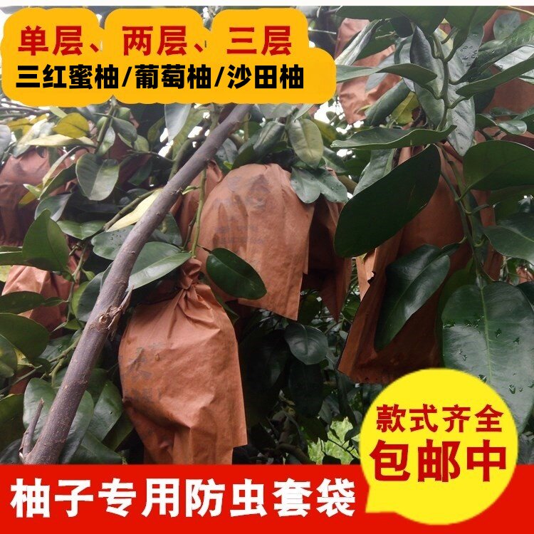 包柚子专用套袋三红蜜柚防虫鸟