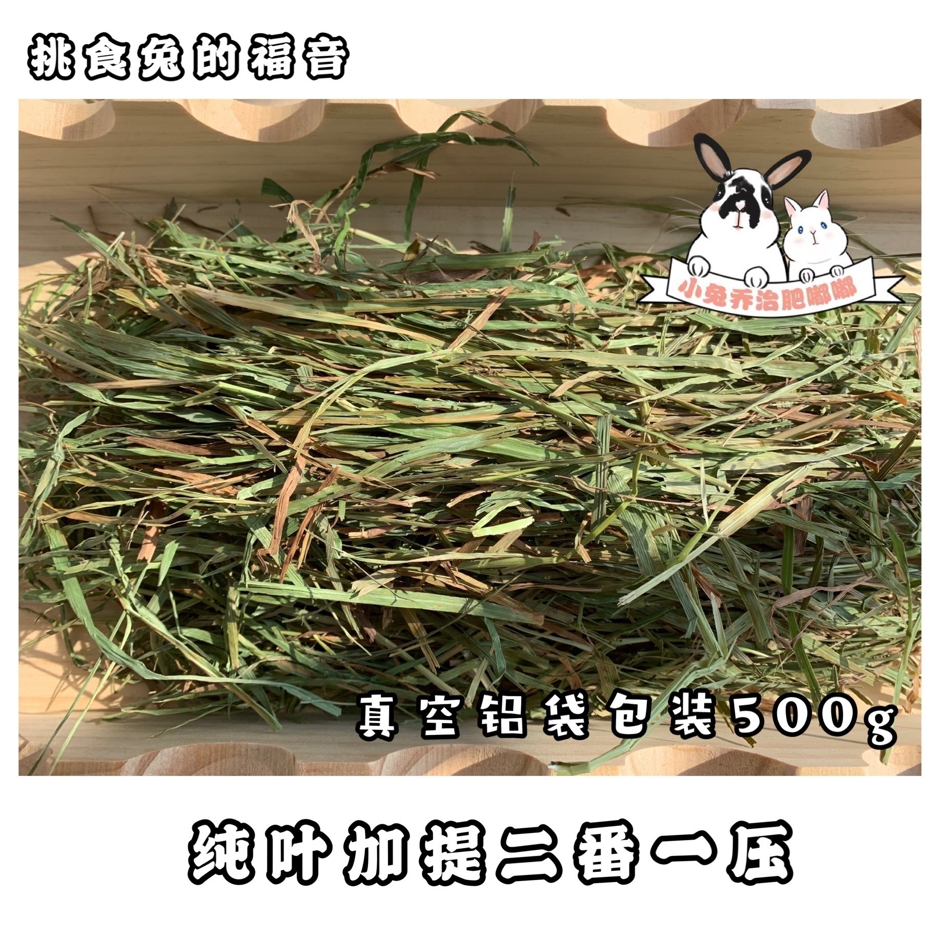乔治加拿大提摩西兔子草二番