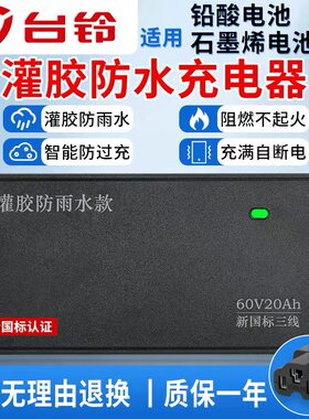 台铃电瓶车充电器48V60V72V20