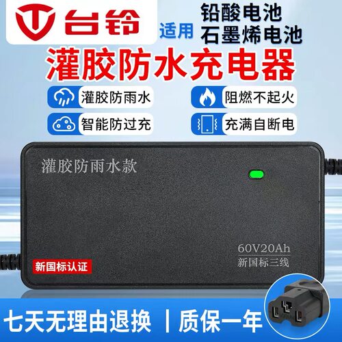 台铃电瓶车充电器48V60V72V20