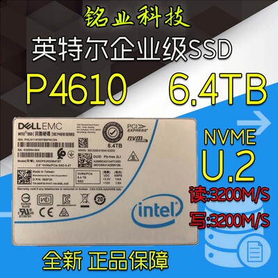 英特尔2.5寸6.4TU.2企业级