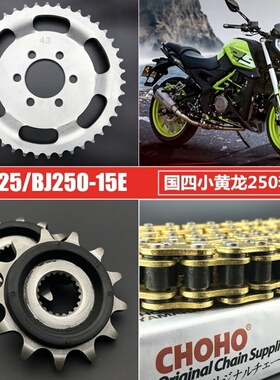 小黄龙BJ250-15 幼狮250大小链轮 TRK251牙盘 TNT25征和油封链条