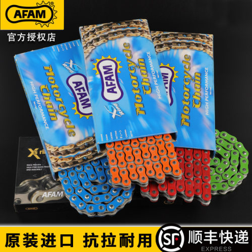 AFAM进口油封链条抗拉长静音