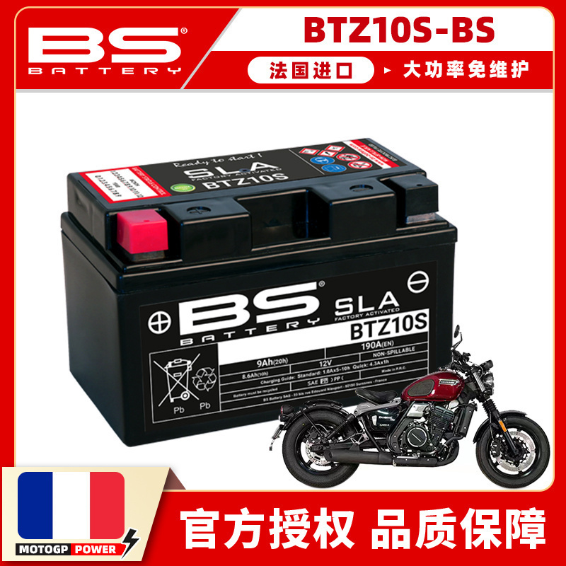 法国进口大功率免维护电池