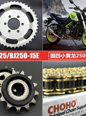 小黄龙BJ250-15 幼狮250大小炼轮 TRK251大齿盘 TNT25征 征和油封
