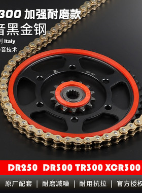 适用DR250 XCR300 TR300 DR300大小牙盘静音链轮征和UX油封链条