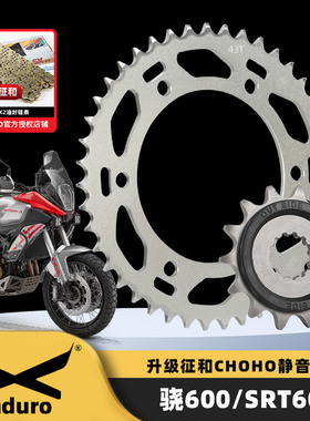 适用钱江骁600 SRT600摩托车前后牙盘大小飞链轮征和SX2油封链条