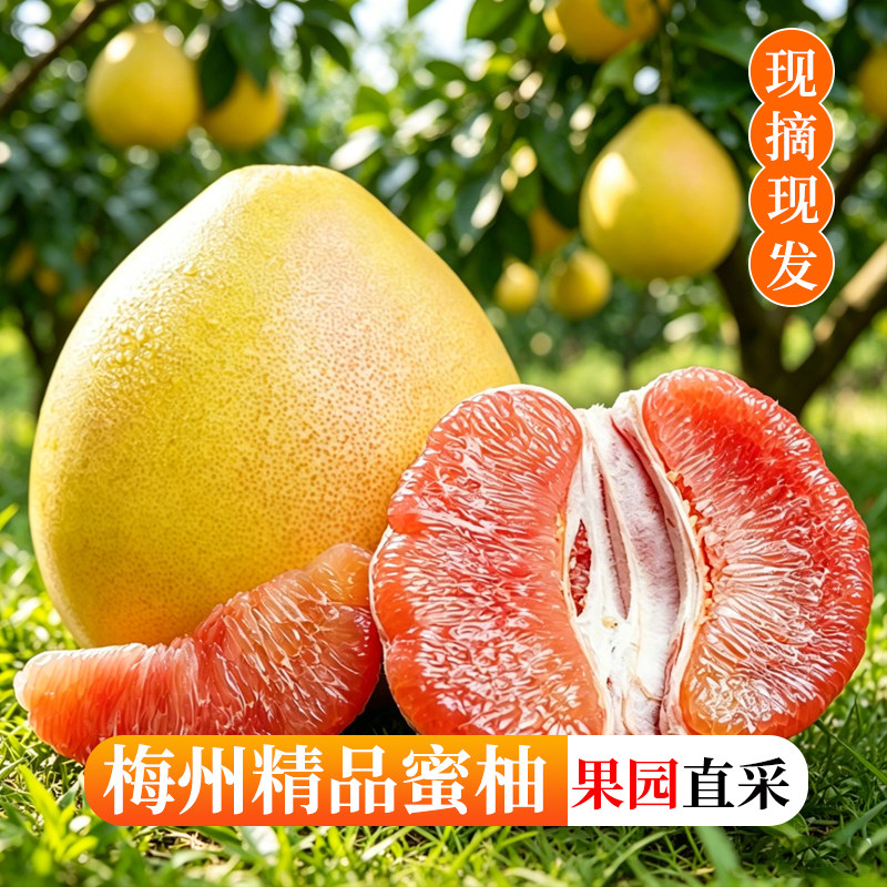 新鲜应季水果正宗梅州红三柚现摘农家红心柚子中秋送礼精品蜜柚