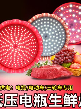 12vled水果生鲜灯熟食卤菜猪肉红光夜市摆摊户外电瓶三轮电动车灯