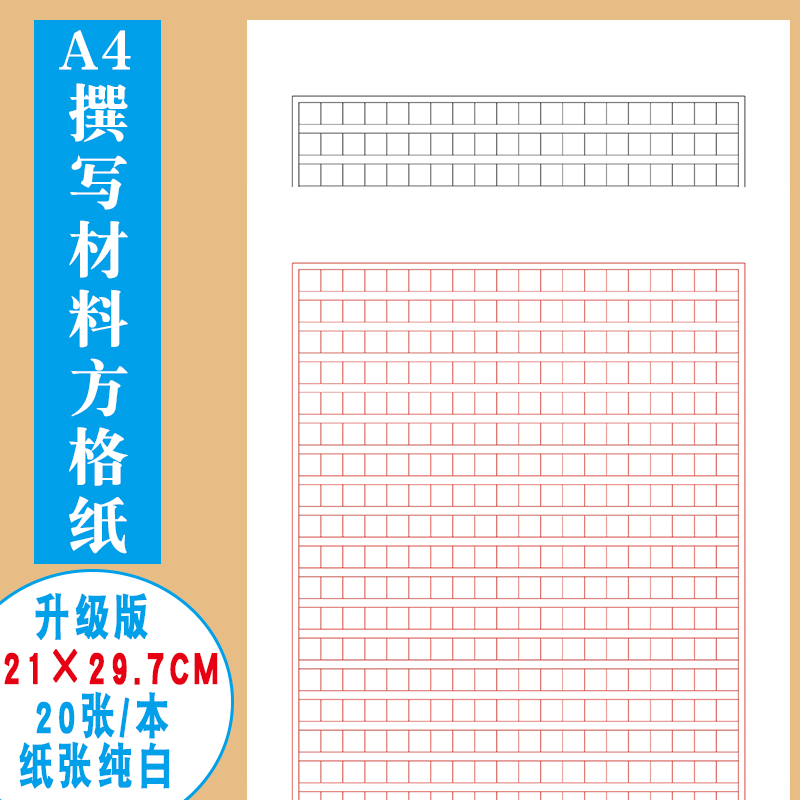 入党申请专用纸党支部工作记录簿