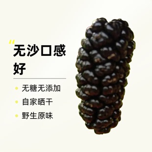 买一发二2025四川攀枝花精选自家桑葚干无糖无添加干净无沙免洗