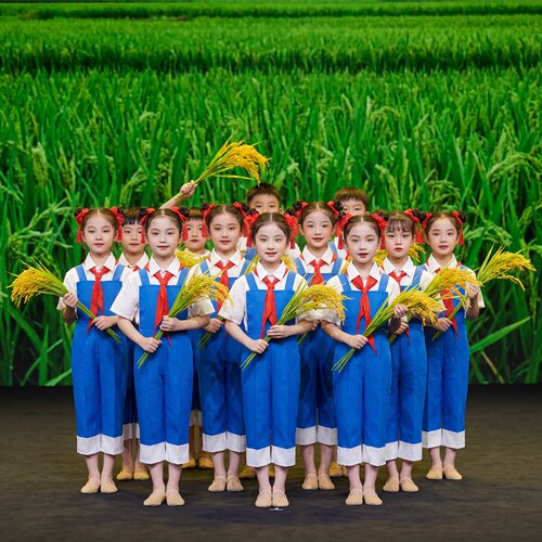 禾下乘凉梦小学生合唱演出服