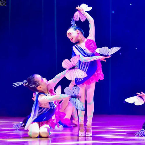 晓春飞蝶梦蝶飞舞彩蝶飞演出服女