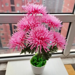 金丝皇菊清明仿真菊花上坟扫墓花高枝把束祭祀墓园墓碑墓地摆放花
