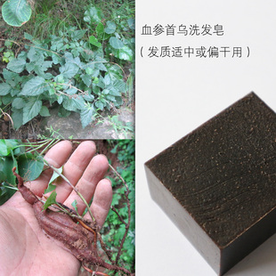 养发植物皂 光亮顺滑 冷制皂 润发保湿 血参首乌洗发皂