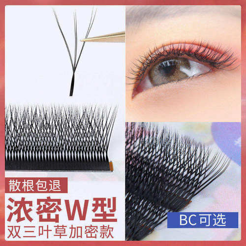 浓密W型睫毛嫁接睫毛kiss