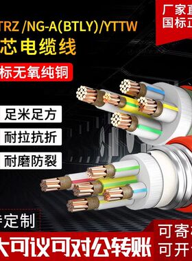 矿物质电缆BTTRZ电缆防火电缆矿物电缆消防用电缆铜芯电线耐火