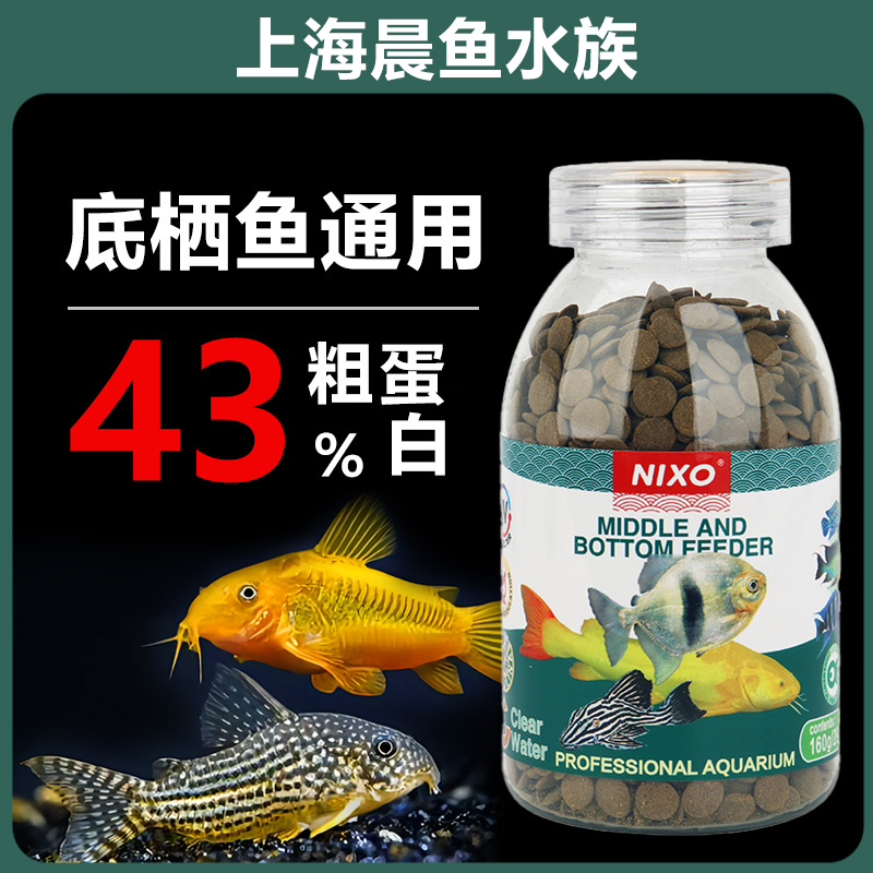 日索鼠鱼清道夫饲料底栖鱼专用鱼食异型鱼招财猫蓝鲨鱼下沉鱼粮