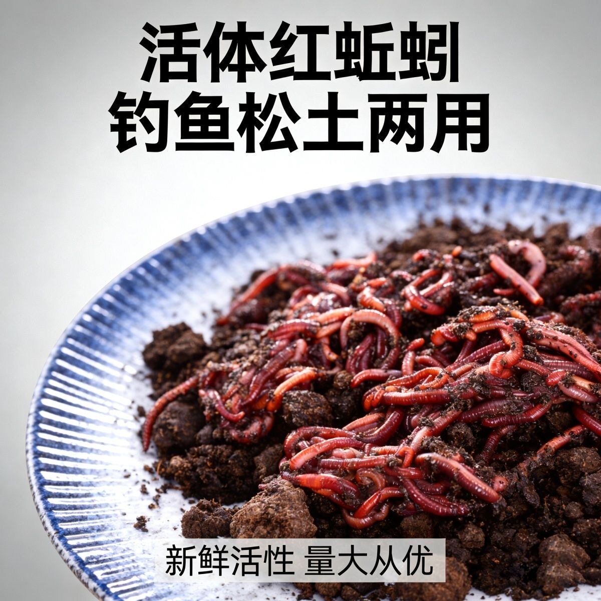 蚯蚓活体鱼饵红蚯蚓活饵鲜活松土宠物龟饲料红虫活蚯蚓牛粪