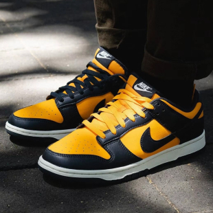 Low 黑橙男款 低帮休闲复古经典 耐克 HF5441 Dunk 板鞋 700 Nike