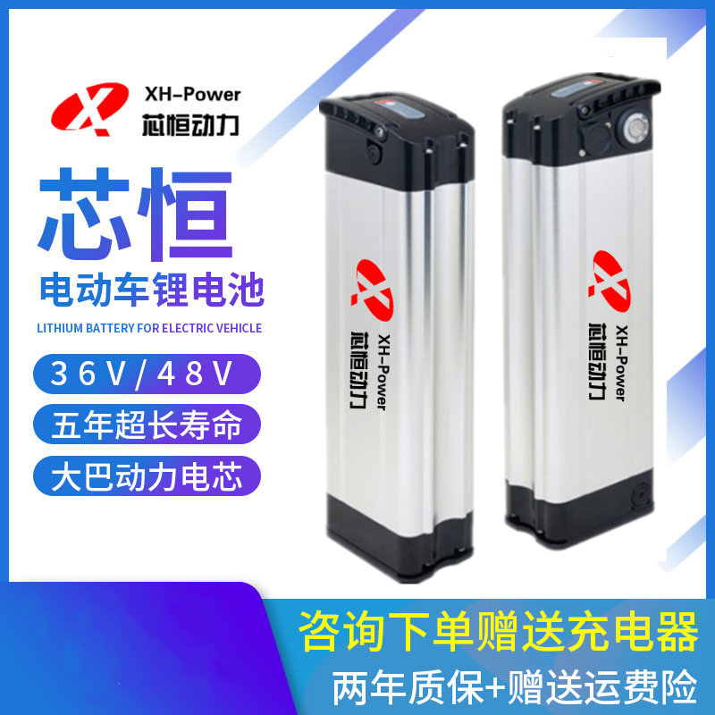 银鱼款电动车锂电池48V12Ah36V10Ah15Ah爱玛富士达邦德科讯电瓶车