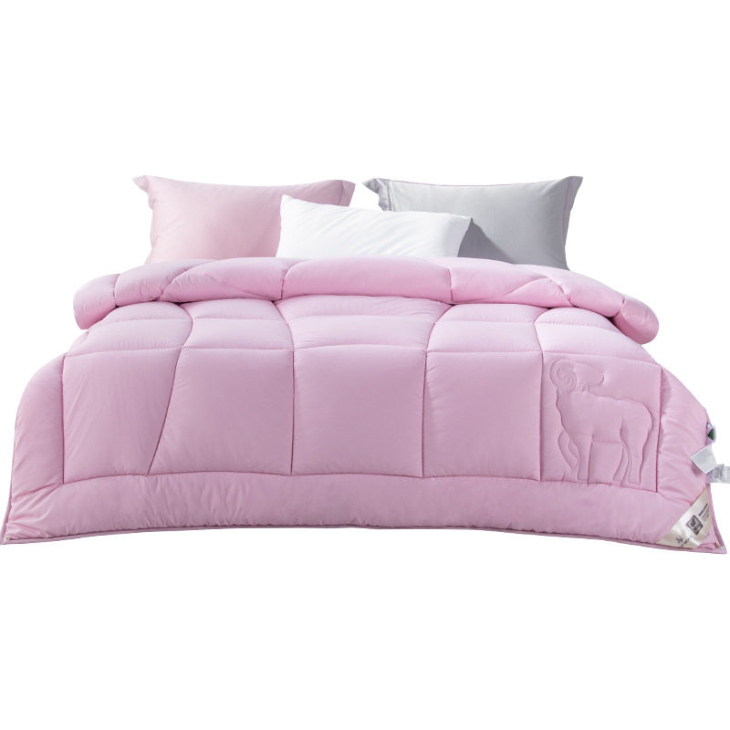 远梦澳洲羊毛双层暖冬被被芯家用被子暖冬被羊毛被冬天2米被子