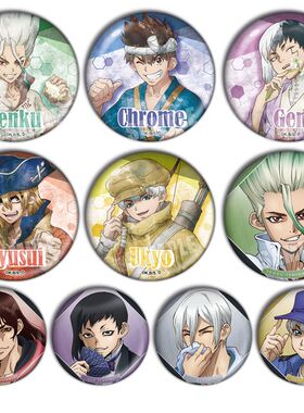 石纪元Dr STONE新石纪石神次元日本动漫周边镭射吧唧挂件胸章徽章