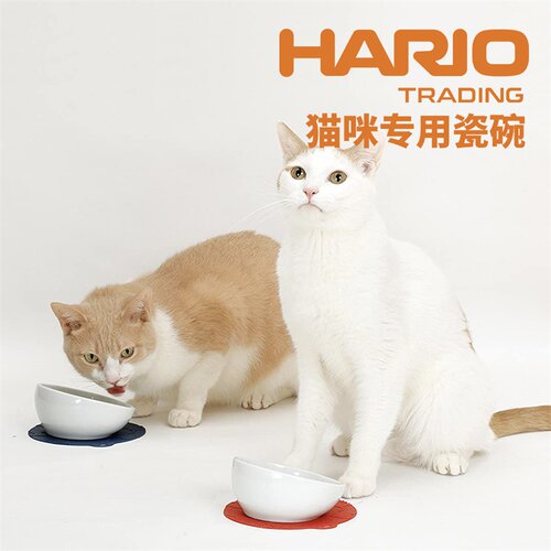 进口Hario猫用双面可加热陶瓷碗