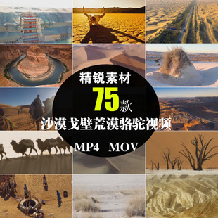 沙漠骆驼队荒漠戈壁滩沙丘丝绸之路背景自然风光航拍实短视频素材