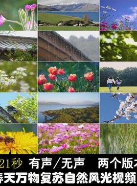 春天绿色清新万物复苏穿暖花开自然风光背景实拍摄影宣传视频素材