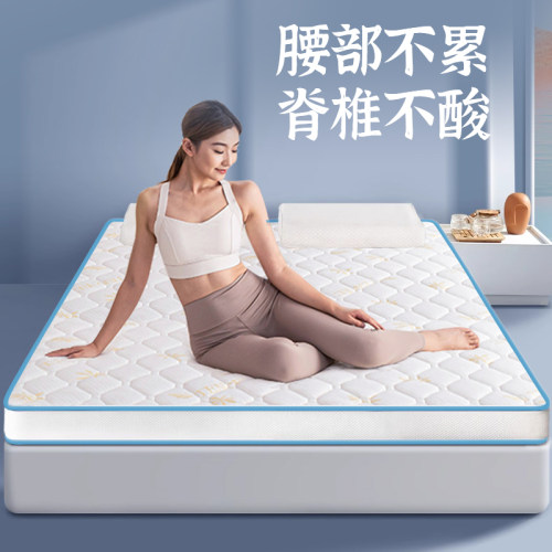 芭黎春学生宿舍床垫1.5米海绵床垫1.8m儿童床垫冬季租房专用垫子 - 封面