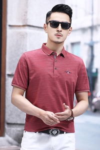 B2309钱塘2020-1夏季男士时尚短袖polo衫T恤翻领男装商务休闲P58图片