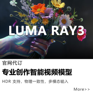 luma ray3会员专业ai图片转视频生成文生影片4K高清智能创作工具