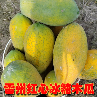 味真栈现摘雷州冰糖青皮红心甜木瓜应季新鲜水果5斤带箱约10斤装