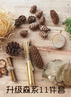 复古森林风树叶食品网店照相松果