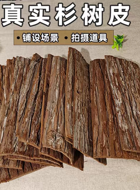 杉树片石斛种植版石斛苔藓