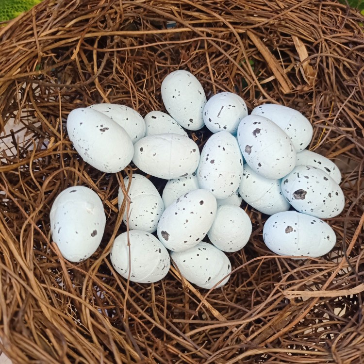 仿真泡小鸟蛋鹌鹑鸽子彩色鸟蛋模型复活节藤环圣诞装饰微景观摆设