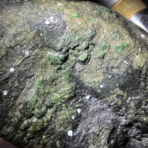 老场莫西沙色带阳绿松花色带子