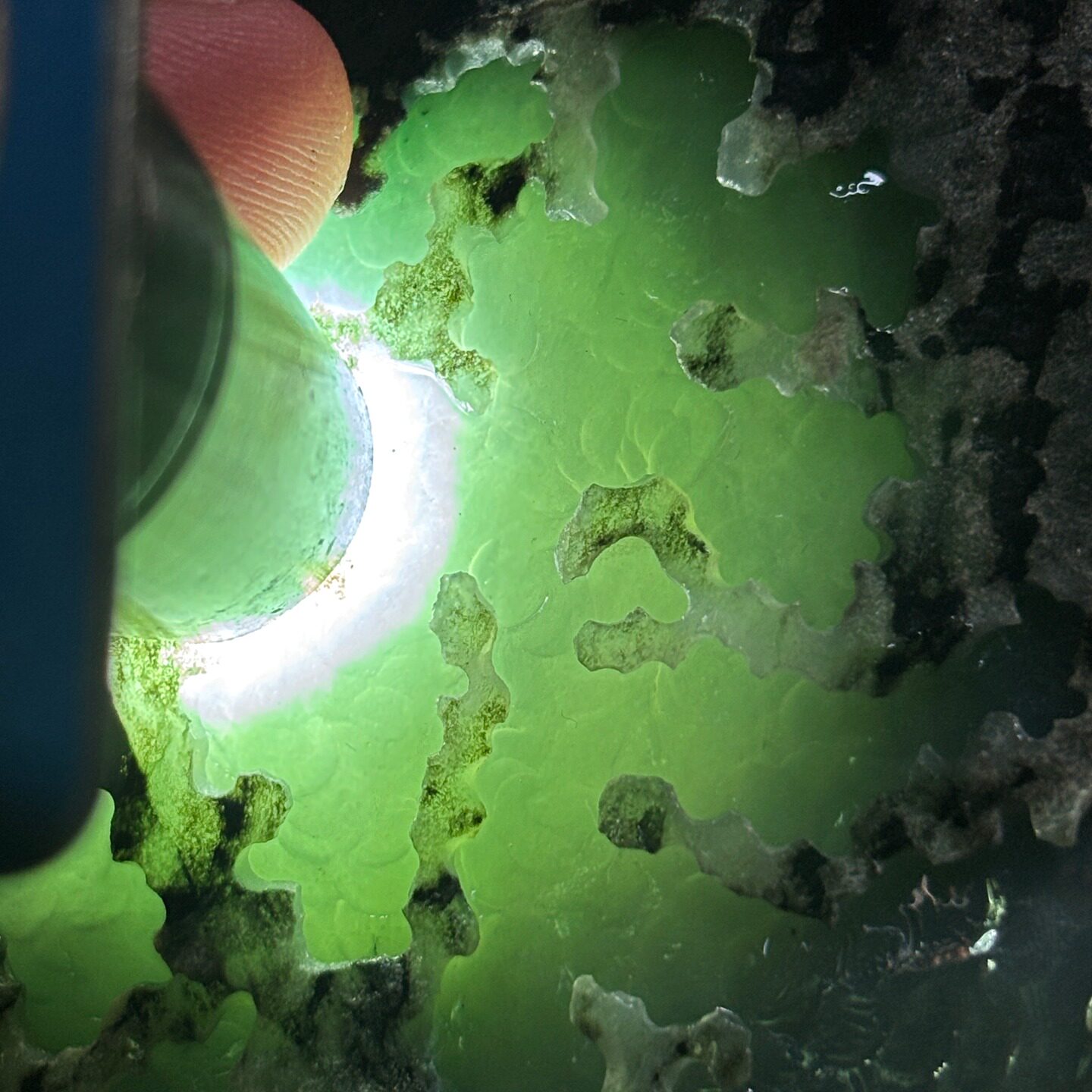 698莫湾基开窗冰糯底肉细种水好天然翡翠原石超市缅甸A货玉石毛料