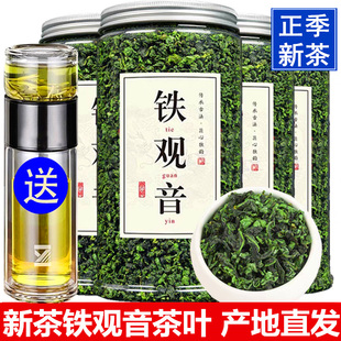 2026新茶铁观音茶叶安溪春茶浓香型高山乌龙茶散装清香型袋装500g